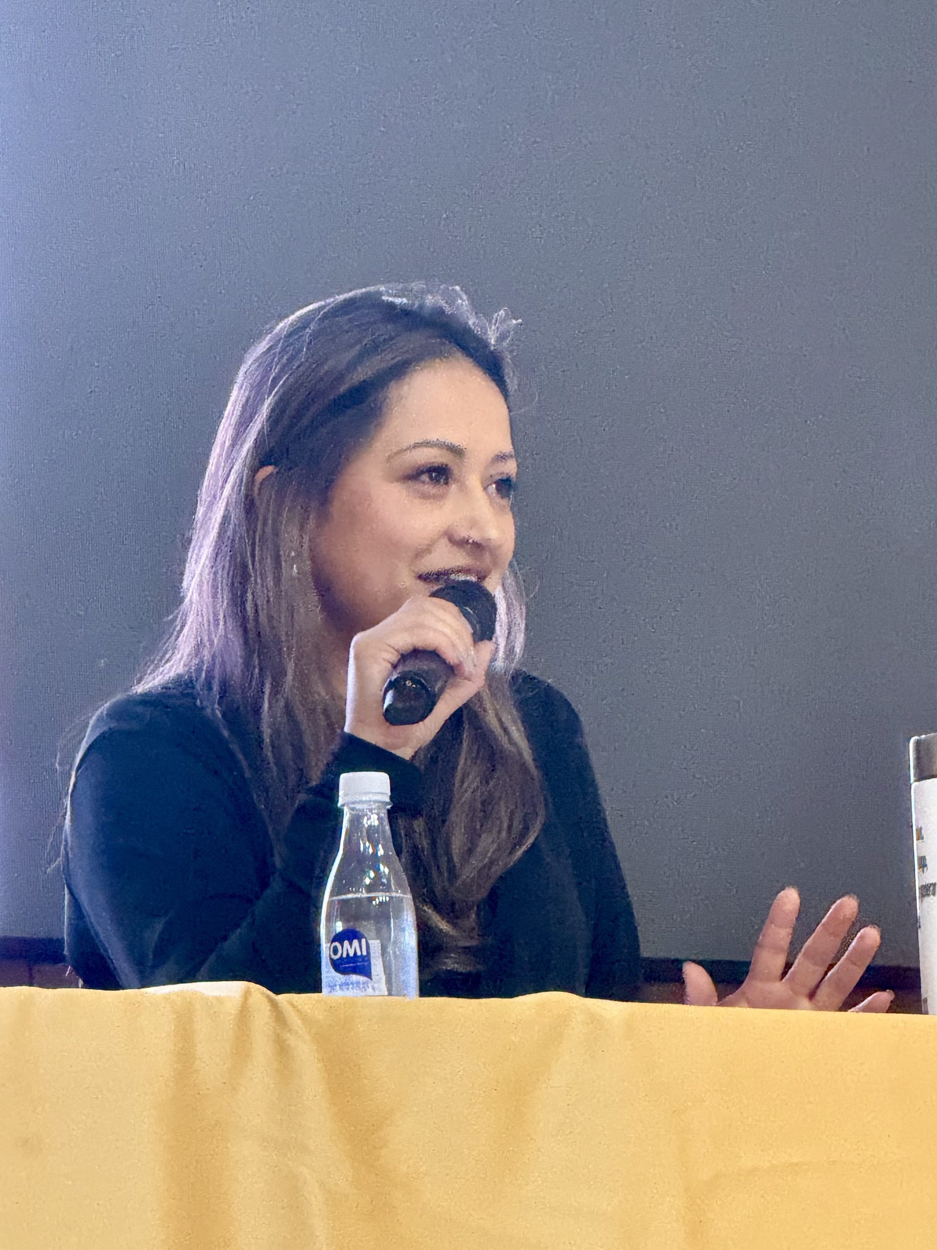 Diana Maritza Wilches Landinez